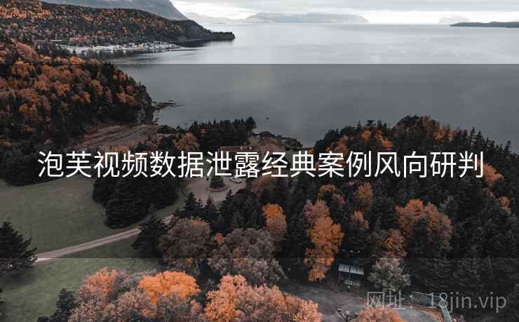 泡芙视频数据泄露经典案例风向研判