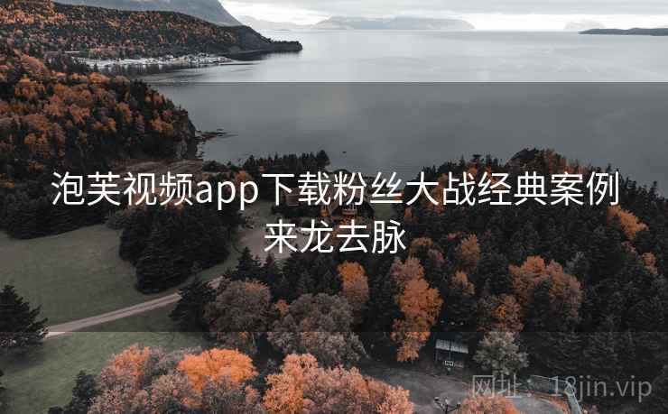 泡芙视频app下载粉丝大战经典案例来龙去脉