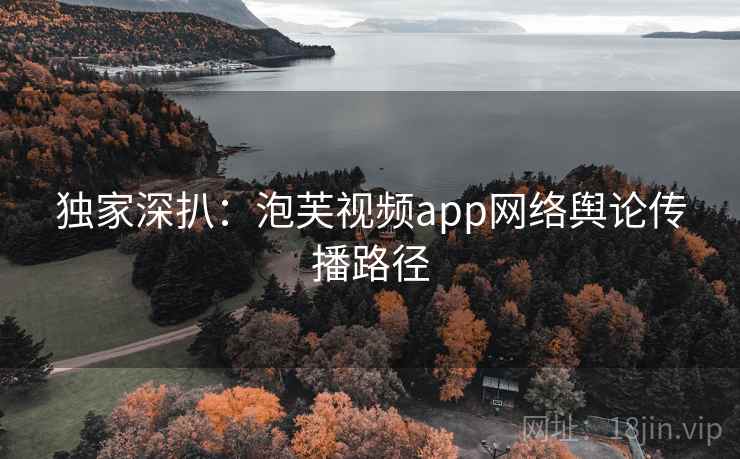 独家深扒：泡芙视频app网络舆论传播路径